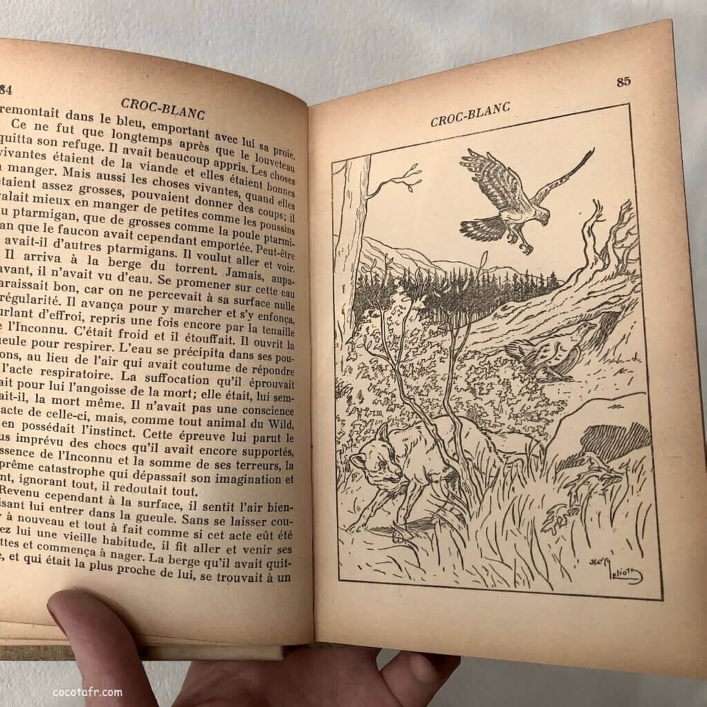 フランスの古い本③すてきなイラストと童話集